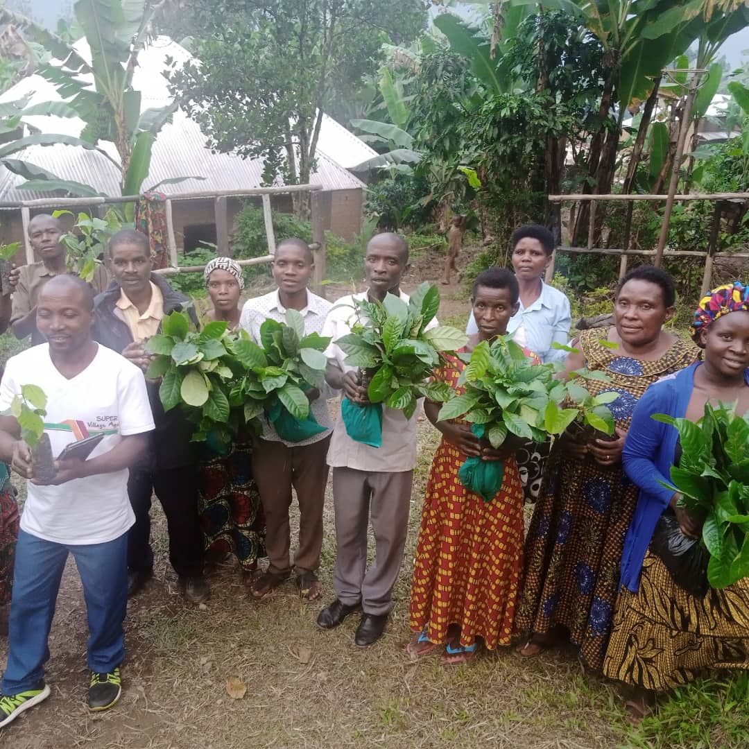Community members in Buhoma holding coffee and tree seedlings ready for planting